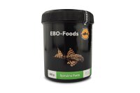 EBO Spirulina Paste Premium Fischfutter