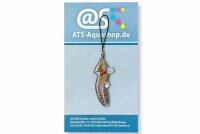 Anh&auml;nger Axolotl - Ambystoma mexicanum