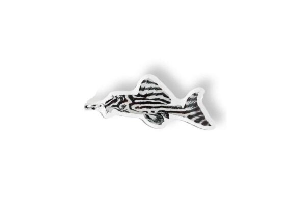 Anh&auml;nger Hypancistrus zebra L 46