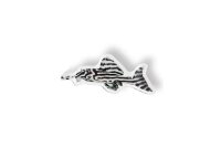 Anh&auml;nger Hypancistrus zebra L 46