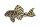 Aufkleber Hypancistrus sp. L 333