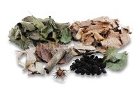 Bl&auml;tter-Schnupperbox f&uuml;r Aquarium