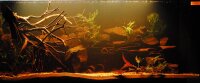 Fermendo HUMIN Booster - Huminstoffe im Aquarium