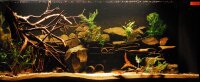Fermendo HUMIN Booster - Huminstoffe im Aquarium