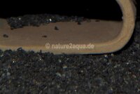 Granoflour&reg; Aquariensand rot