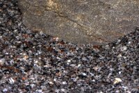 Granoflour&reg; Aquariensand rot