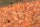 Granoflour&reg; Aquariensand rot