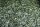 Granoflour&reg; Aquariensand rot