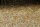 Granoflour&reg; Aquariensand rot