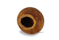 Holzapfel Wood Apple H&ouml;hle Versteck im Aquarium
