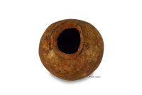 Holzapfel Wood Apple H&ouml;hle Versteck im Aquarium