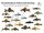 Poster: Harnischwelse der Volta Grande do Xingu