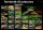 Poster: The World of Livebearers &ndash; Swordtails