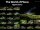 Poster: The World of Plecos &ndash; Hypancistrus