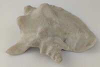 Schneckeniglu Meeresschnecke H&auml;lfte Unterschlupf Hellgrau Nr. E3