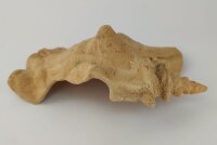 Schneckeniglu Meeresschnecke H&auml;lfte Unterschlupf Surprise Nr. E2