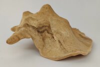 Schneckeniglu Meeresschnecke H&auml;lfte Unterschlupf Surprise Nr. E2