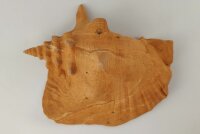 Schneckeniglu Meeresschnecke H&auml;lfte Unterschlupf Terracotta Nr. D34
