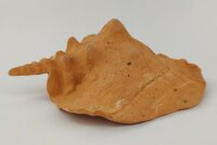 Schneckeniglu Meeresschnecke H&auml;lfte Unterschlupf Terracotta Nr. D34
