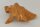 Schneckeniglu Meeresschnecke H&auml;lfte Unterschlupf Terracotta Nr. D34