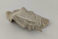 Schneckeniglu Meeresschnecke H&auml;lfte Unterschlupf Vintage Nr. D37