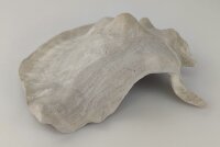 Schneckeniglu Meeresschnecke H&auml;lfte Unterschlupf Vintage Nr. E5