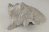 Schneckeniglu Meeresschnecke H&auml;lfte Unterschlupf Vintage Nr. E5