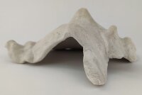 Schneckeniglu Meeresschnecke H&auml;lfte Unterschlupf Vintage Nr. E5