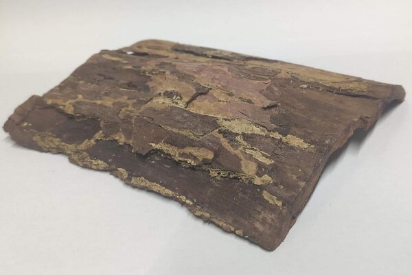 Seemandelbaumrinde Platten f&uuml;r Aquarium