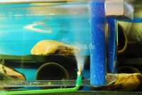 Sinterbronze Sprudelstein f&uuml;r Aquarium