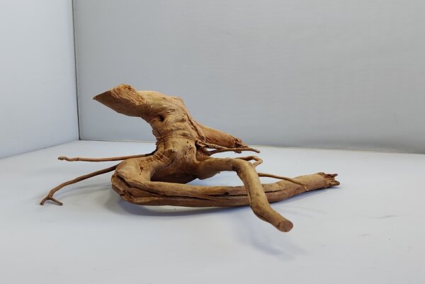Spiderwood Aquarienwurzel Moorwurzel SR14 ca 15x32x25cm