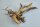 Spiderwood Aquarienwurzel Moorwurzel SR16 ca 22x42x20cm