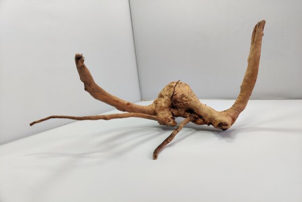Spiderwood Aquarienwurzel Moorwurzel SR37 ca 40x20x28 cm