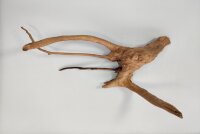 Spiderwood Aquarienwurzel Moorwurzel SR37 ca 40x20x28 cm
