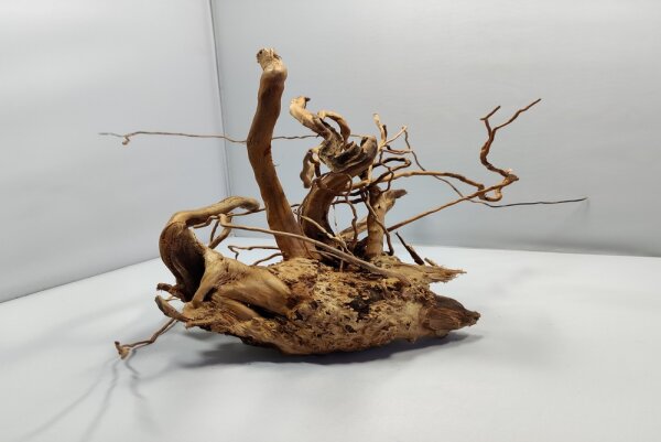 Spiderwood Aquarienwurzel Moorwurzel SR67 ca 20x36x23 cm