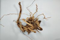 Spiderwood Aquarienwurzel Moorwurzel SR67 ca 20x36x23 cm