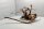 Spiderwood Aquarienwurzel Moorwurzel SR67 ca 20x36x23 cm