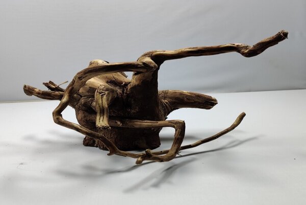 Talawa wood Teawood Aquarienwurzel TR1 ca 28x21x15 cm