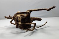 Talawa wood Teawood Aquarienwurzel TR1 ca 28x21x15 cm