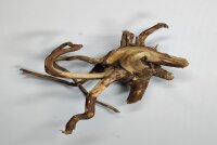 Talawa wood Teawood Aquarienwurzel TR1 ca 28x21x15 cm
