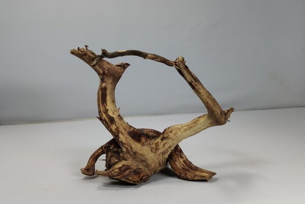 Talawa wood Teawood Aquarienwurzel TR11 ca 19x12x12 cm