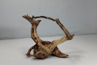 Talawa wood Teawood Aquarienwurzel TR11 ca 19x12x12 cm