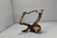 Talawa wood Teawood Aquarienwurzel TR11 ca 19x12x12 cm