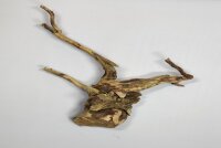 Talawa wood Teawood Aquarienwurzel TR2 ca 42x24x8 cm