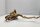 Talawa wood Teawood Aquarienwurzel TR2 ca 42x24x8 cm