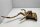 Talawa wood Teawood Aquarienwurzel TR2 ca 42x24x8 cm