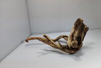 Talawa wood Teawood Aquarienwurzel TR5 ca 33x21x13 cm