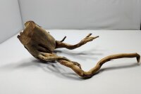 Talawa wood Teawood Aquarienwurzel TR5 ca 33x21x13 cm