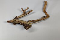 Talawa wood Teawood Aquarienwurzel TR5 ca 33x21x13 cm