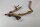 Talawa wood Teawood Aquarienwurzel TR5 ca 33x21x13 cm